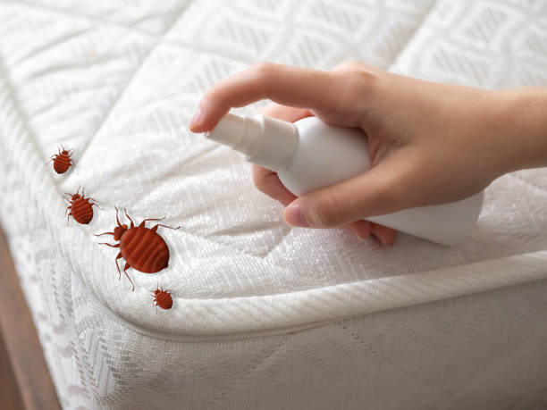 Best Pest Control for Multi-Family Homes  in Marshall, IL